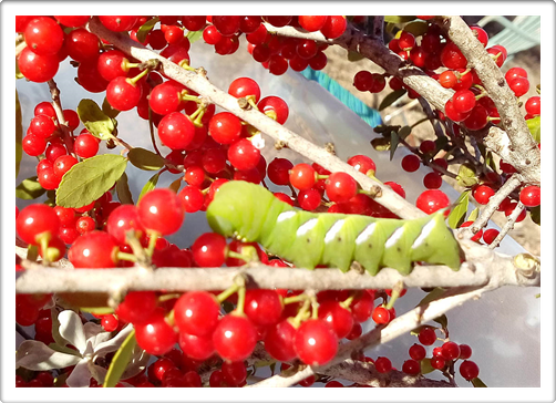 Photography By Dapacu