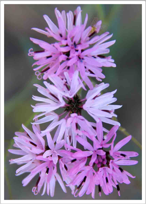 Beautiful Photography