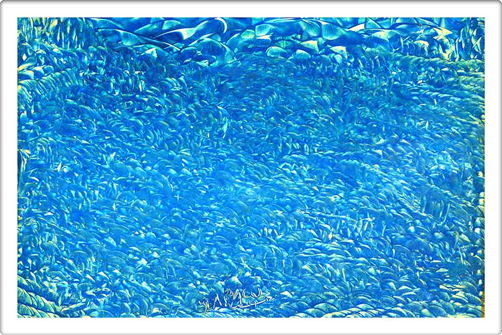 Observe Deeply! DAPACU Posters